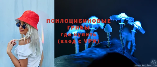 дживик Аркадак