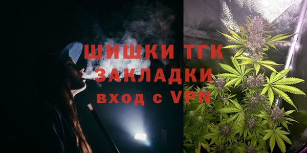 дживик Аркадак
