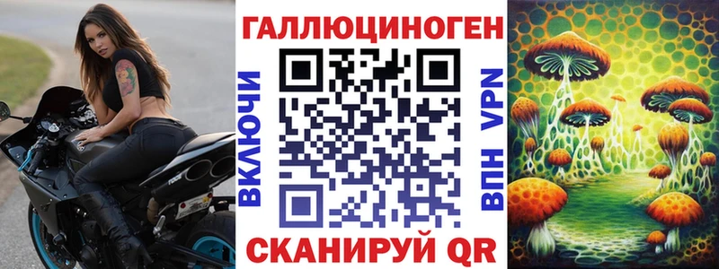 Псилоцибиновые грибы мицелий  Дмитриев 